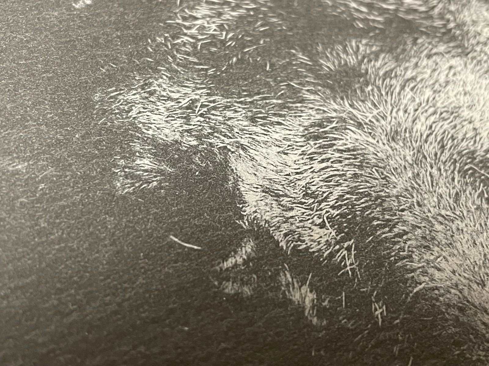 Schiefertafel mit Logo - Fotogravur laserstern-beschriftungen-lasergravuren.myshopify.com 