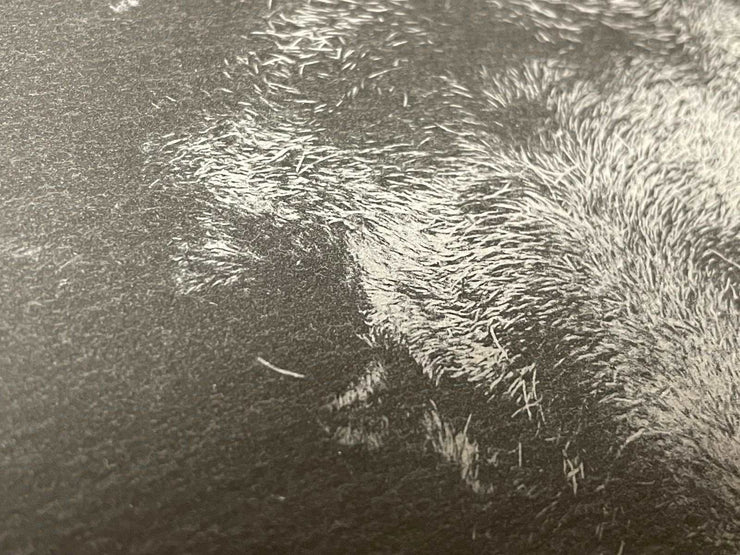 Schiefertafel mit Logo - Fotogravur laserstern-beschriftungen-lasergravuren.myshopify.com 