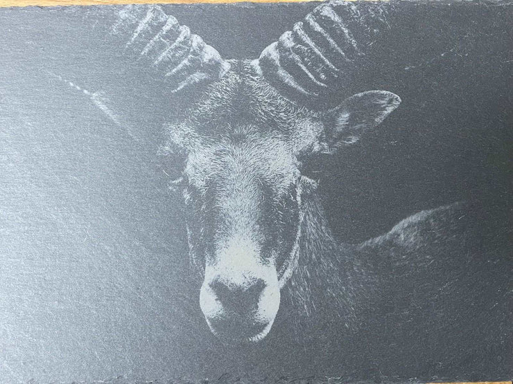 Schiefertafel mit Logo - Fotogravur - Laserstern Beschriftungen - Lasergravuren